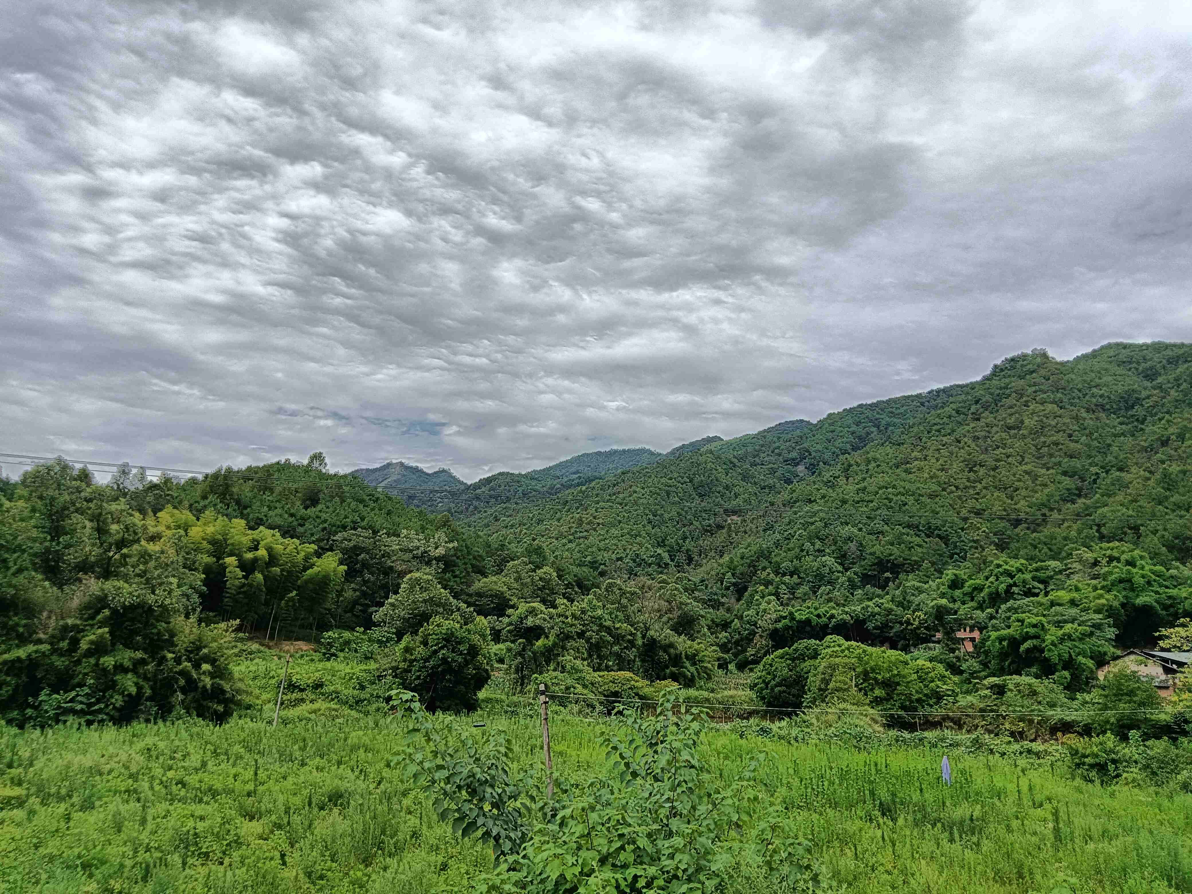 风景