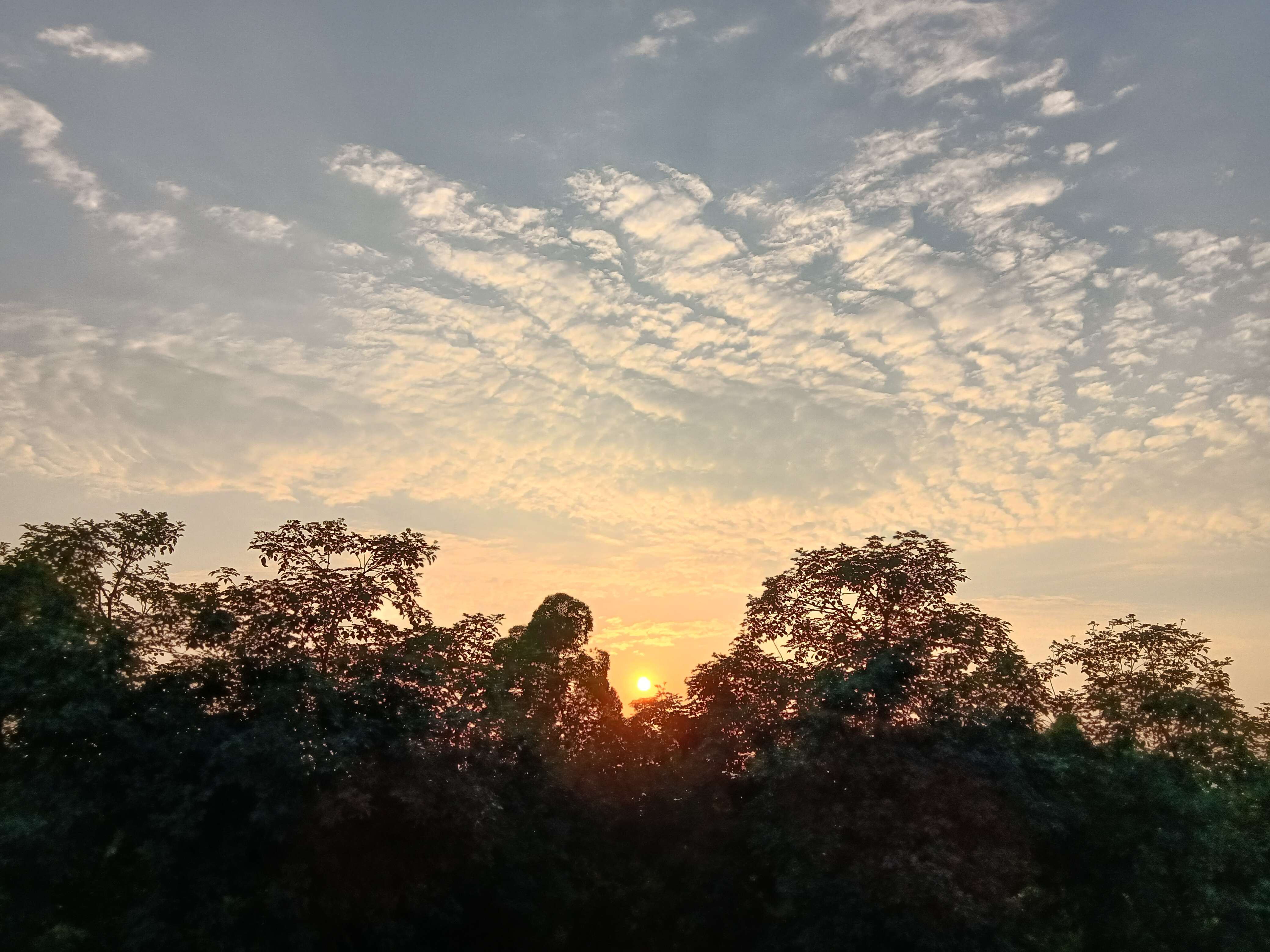 夕阳