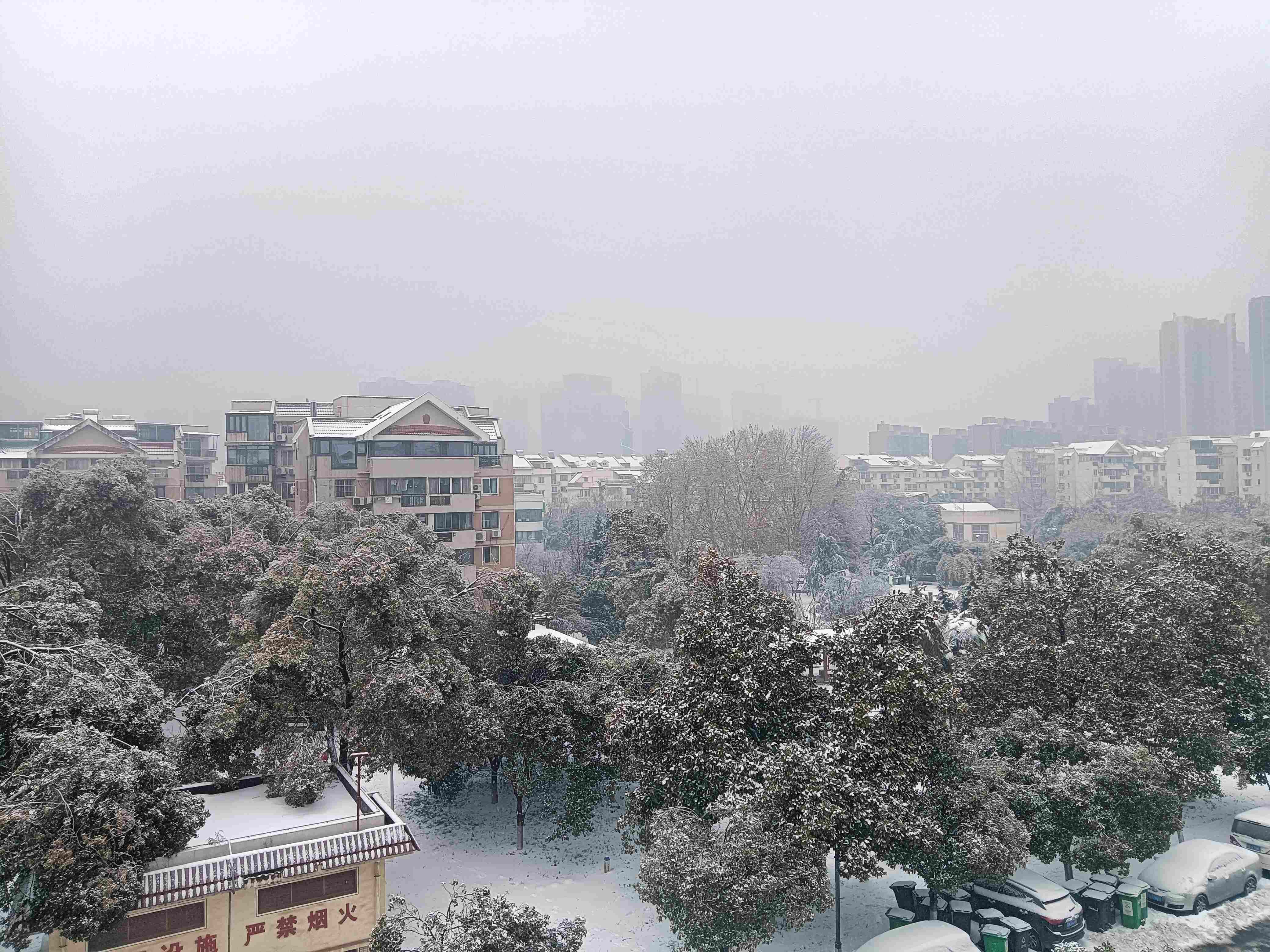 小区里到处都是雪