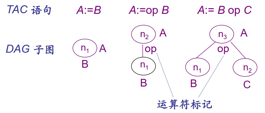 TAC 对应的 DAG子图
